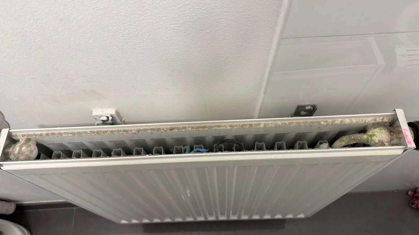 Hausbetreuung vor der Reinigung